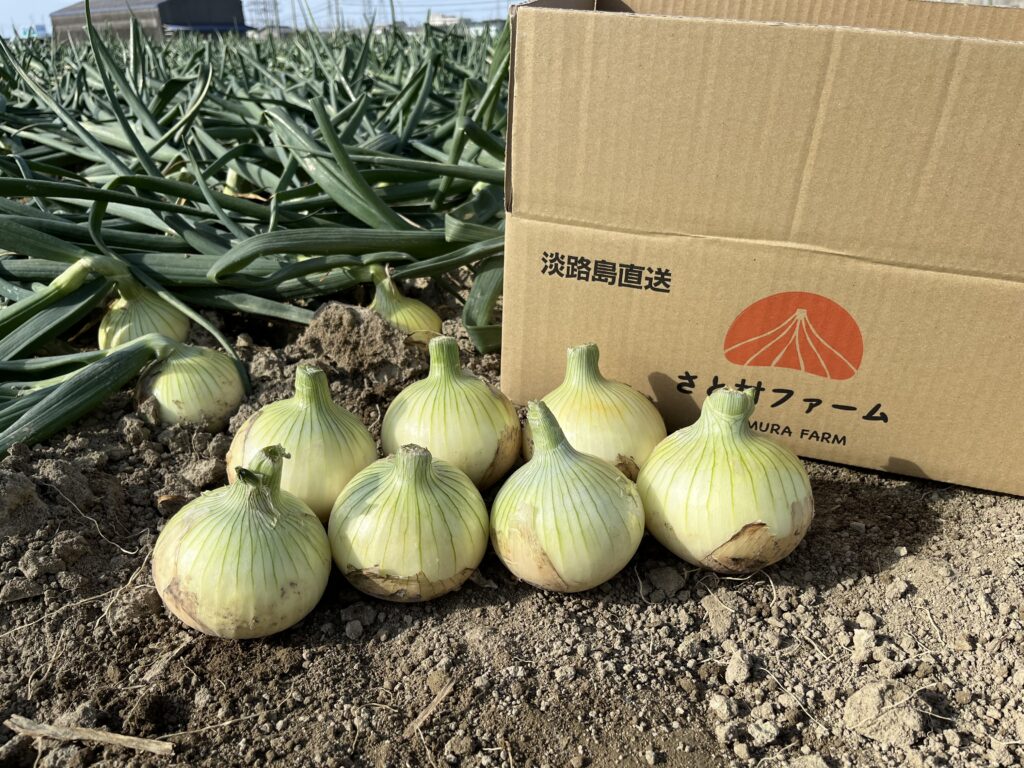 淡路島完熟玉ねぎ
